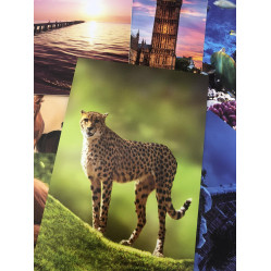 Пластик Лист ПВХ интегрально-вспененный белый КТ 6х2030х3050 мм