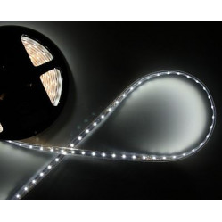 Лента светодиодная 5050/300LED/12V/5М/IP65 Холодный белый